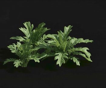 Modern Crop-ID:157210877