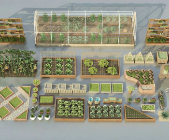 Modern Crop-ID:726165061