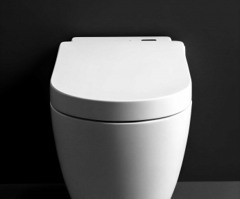 Modern Toilet-ID:999911075