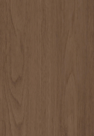 ModernWood Texture