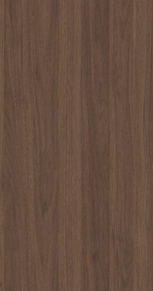 ModernWood Texture