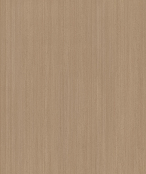 ModernWood Texture