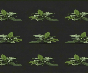 Modern Crop-ID:566678051