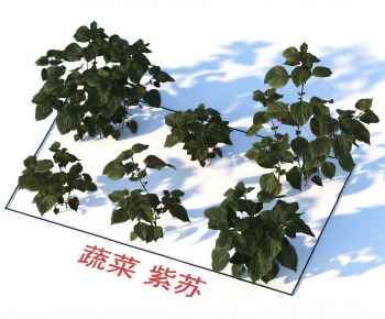 Modern Crop-ID:299561985