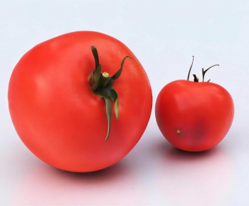 Modern Vegetables-ID:545145993