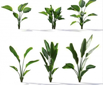 Modern Crop-ID:927612079