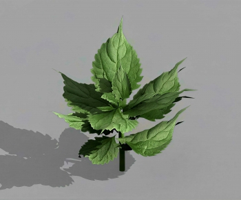 Modern The Grass-ID:101120591