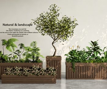 Modern Flower Bed, Flower Bowl, Flower Box-ID:167865995