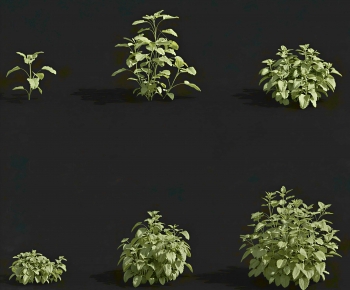 Modern The Grass-ID:800075058