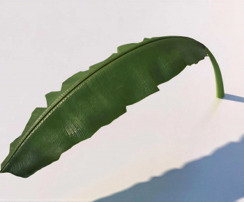 Modern Tree/shrub/grass-ID:568877944