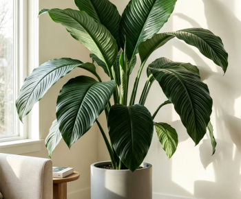 Modern Ground Green Plant Potted Plants-ID:168486127