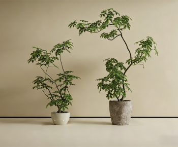 Modern Ground Green Plant Potted Plants-ID:439625024