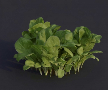Modern Crop-ID:330734978