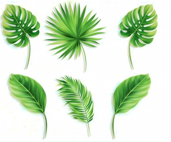 Modern Tree/shrub/grass-ID:797053105