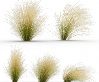 Modern The Grass-ID:779181006