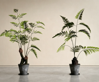 Modern Ground Green Plant Potted Plants-ID:861511959