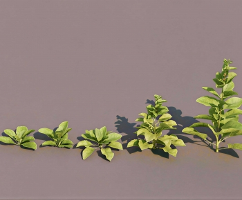 Modern The Grass-ID:402158028