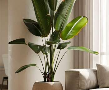 Modern Ground Green Plant Potted Plants-ID:227472072