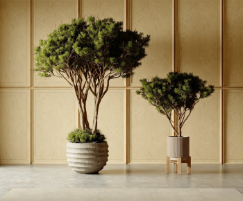 Modern Ground Green Plant Potted Plants-ID:895988942