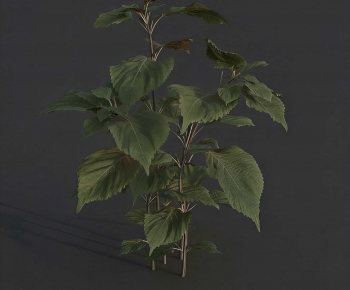 Modern The Grass-ID:133604055