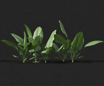 Modern Crop-ID:772198927