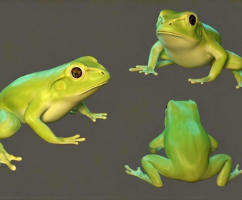 Modern Aquatic Animals-ID:468842989