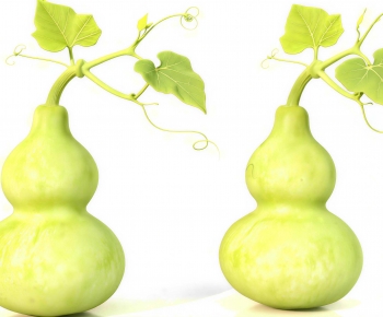 Modern Vegetables-ID:362494952