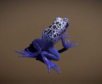 Modern Reptile-ID:114670045