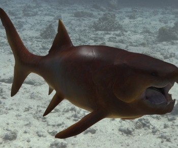 Modern Aquatic Animals-ID:967550341