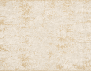 ModernModern Rug