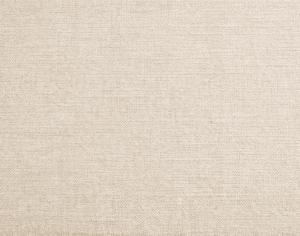 ModernModern Rug