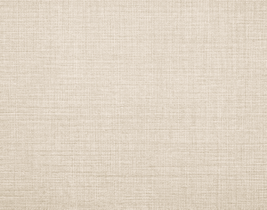 ModernModern Rug