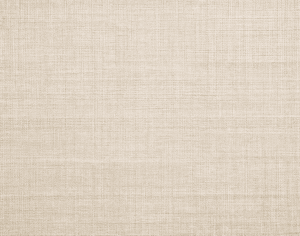 ModernModern Rug