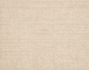 ModernModern Rug