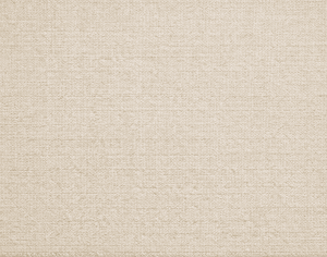 ModernModern Rug