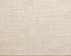 ModernModern Rug