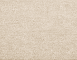ModernModern Rug