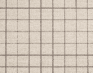ModernModern Rug