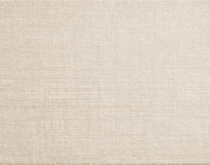 ModernModern Rug