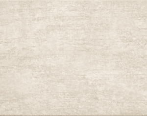 ModernModern Rug