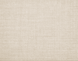 ModernModern Rug