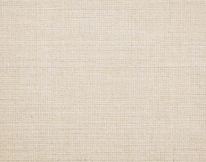 ModernModern Rug