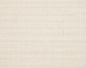ModernModern Rug
