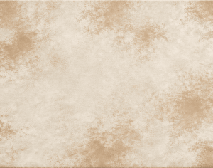 ModernModern Rug