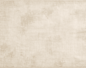 ModernModern Rug