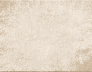 ModernModern Rug