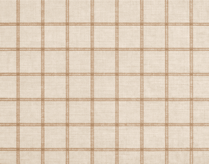ModernModern Rug