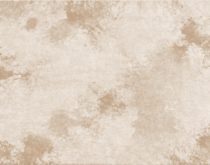 ModernModern Rug