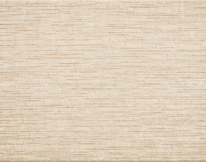 ModernModern Rug