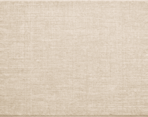 ModernModern Rug